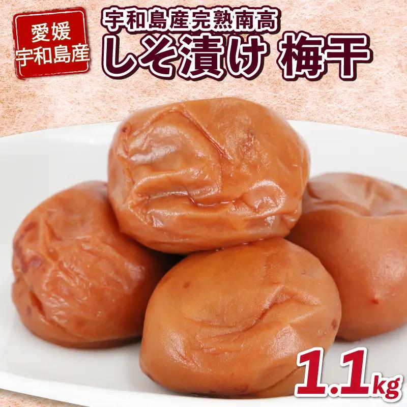 梅干し 1.1kg 先行予約 夢萬開 梅干し しそ漬け F010-105001