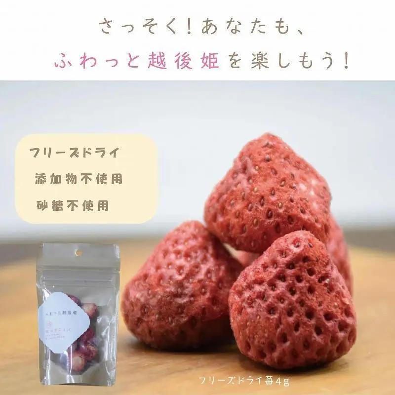 ふわっと越後姫 紅茶 ドライ苺紅茶 各10袋セット 紅茶