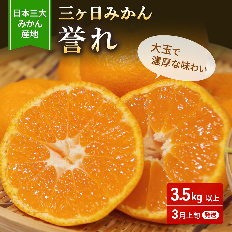 【ふるさと納税】【2027年3月上旬頃より順次発送】三ヶ日みかん 誉れ 青秀 2L 3.5kg みかん ミカン 蜜柑 誉れみかん 三ヶ日 果物 くだもの フルーツ 旬の果物 旬のフルーツ 柑橘 柑橘類 糖度 静岡 浜松市【配送不可：離島】　お届け：2027年3月上旬～3月中旬まで