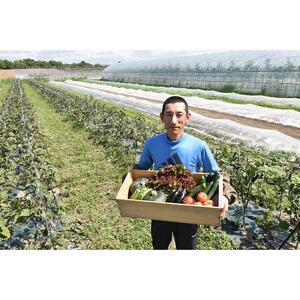【2026先行予約】【地元雑誌で紹介】【北海道旭川産】旬の野菜詰め合わせ[7～10種類](栽培期間中農薬不使用・化学肥料不使用) | 野菜詰め合わせ_02944