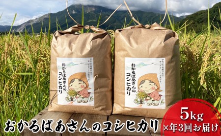 【令和7年産新米予約受付】【5kg×3か月連続お届け】おかるばあさんのコシヒカリ お米 