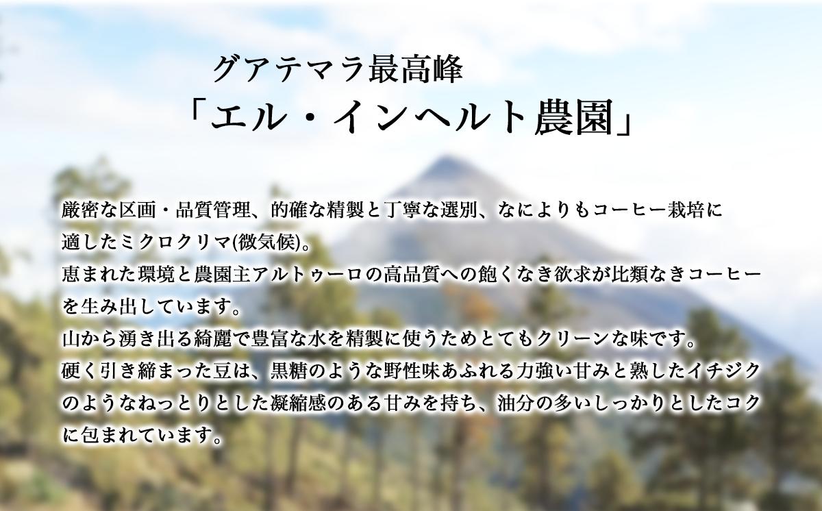 スペシャルティ珈琲豆のグアテマラ／トラディショナル 各100g飲み比べセット（計200g）【 コーヒー 珈琲 コーヒー豆 珈琲豆 自家焙煎 茨城県 つくば市 】