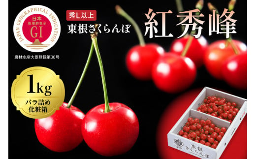 2025年 GI東根さくらんぼ「紅秀峰」1kgバラ詰め(500g×2ﾊﾟｯｸ) 東根農産センター提供 山形県 東根市 hi027-174-1