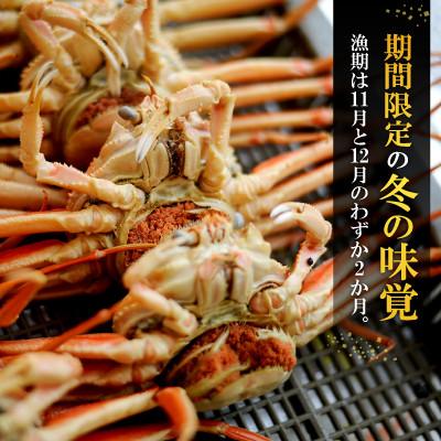 ふるさと納税 小浜市 朝ゆでセイコガニ5ハイ |  | 02