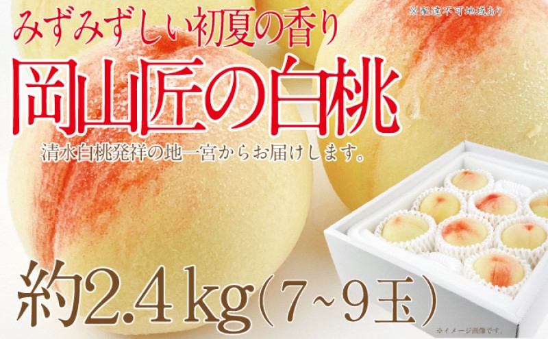 もも 2025年 先行予約 岡山匠の白桃 約2.4kg 7～9玉 犬塚農園 岡山県産  桃 モモ ギフト 初夏 みずみずしい