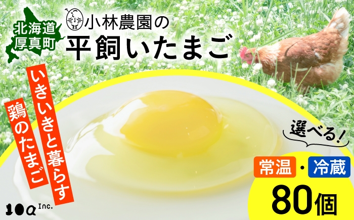 
                  小林農園の平飼いたまご・無投薬 80個《厚真町》【テンアール株式会社】 有精卵 卵 鶏卵 玉子 生卵 平飼い 北海道 [AXAN075]
                