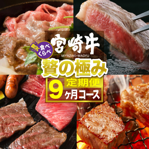 【定期便】 宮崎牛食べ比べ贅の極み ９ヶ月コース 【肉 牛肉 黒毛和牛 肉質等級4等級以上 5等級 A4ランク A5ランク 精肉】 宮崎県川南町