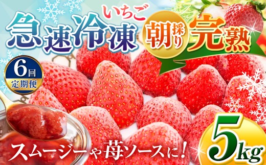 【 定期便 6回 】 選べる 容量 完熟・急速 冷凍いちご 5kg | 苺 いちご イチゴ 果物 フルーツ ふるーつ 冷凍 いちご れいとう イチゴ 果実 果汁 冷凍 冷凍食品 冷凍いちご 朝採り 完熟 新鮮 スムージー オススメ 千葉県 君津市 きみつ