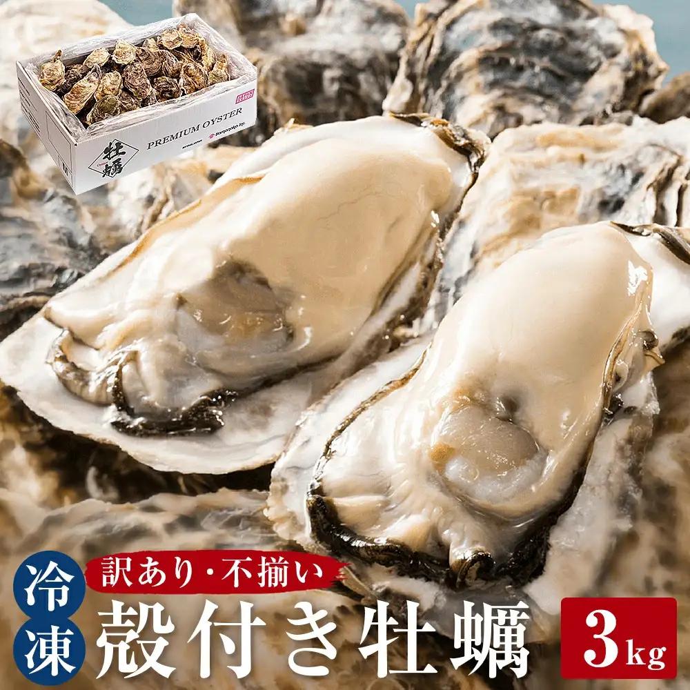 訳あり 冷凍 殻付き牡蠣 3kg 加熱用 三陸産 牡蠣
