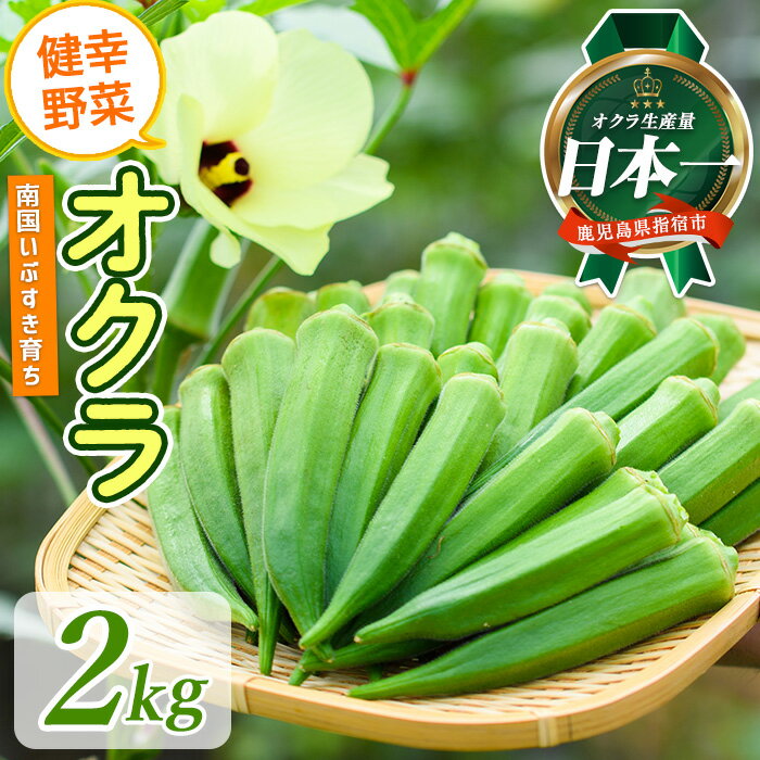 【ふるさと納税】指宿(いぶすき)産 オクラ(2kg) オクラ おくら 野菜 夏野菜 旬 特産 夏 新鮮 鹿児島県【オネファーム】