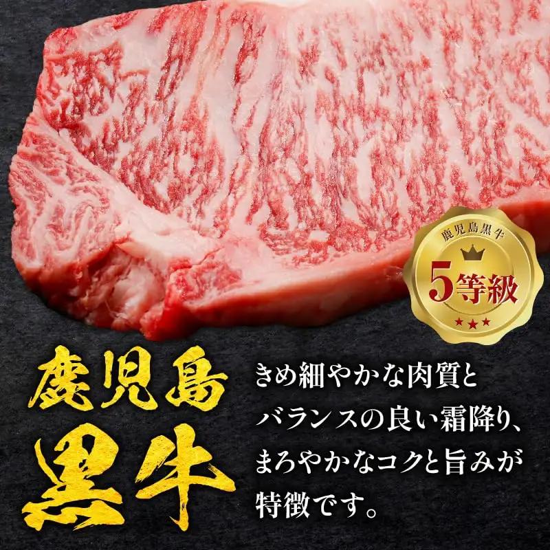 鹿児島黒牛 サーロイン ステーキ 計600g（ A-101 ） C069-002 肉 牛肉 冷凍
