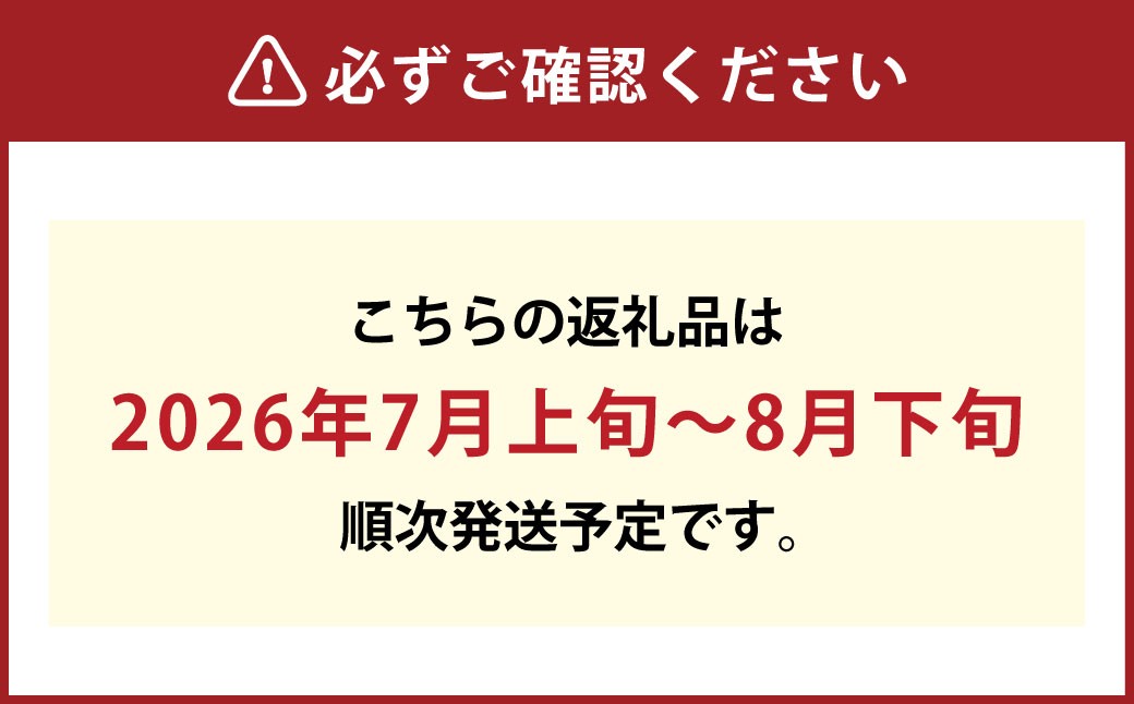 岡山県産桃太郎ぶどう2房入り（1房480ｇ以上）