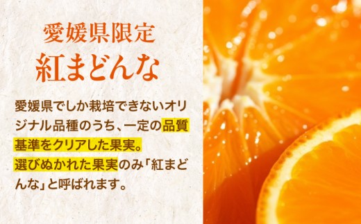 みかん オレンジ フルーツ ミカン 果物 愛媛みかん くだもの 愛媛県産みかん 紅まどんな まどんな マドンナ 紅マドンナ 