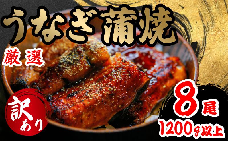 
訳あり うなぎ 蒲焼き 8尾 150g以上 × 8本入 計1200g 以上 ( 鰻 さんしょう たれ セット 本格 うなぎ 8匹 冷凍 鰻 蒲焼 うな丼 うな重 ひつまぶし 人気 惣菜 海鮮 贈答用 プレゼント 贈り物 ギフト 滋賀県 竜王町 ふるさと納税 )
