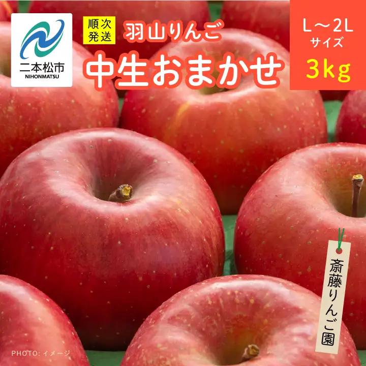 りんご《2026年10月以降順次発送》羽山のりんご 中生おまかせL～2Lサイズ3kg りんご リンゴ 果物 フルーツ【斎藤りんご園】