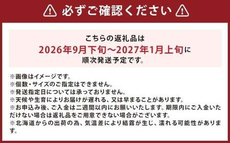 北海道産 じゃがいも キタアカリ M～2Lサイズ混載 約20kg 1箱 山田農場 ジャガイモ 芋 いも イモ 国産 【2026年9月下旬-2027年1月上旬迄発送予定】