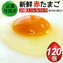 新鮮 卵 京都・丹波の赤たまご 100個＋割れ保証20個 計120個 《生卵 たまご 鶏卵 小分け 贈答 ギフト》◇☆月間MVPふるさと納税賞 第1号（2020年10月）・SDGs未来都市亀岡