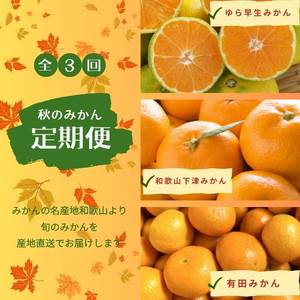 定期便【全3回/10・11・12月】みかんの名産地和歌山発！秋のみかん定期便♪ゆら早生みかん・下津みかん・有田みかん【tkb362】