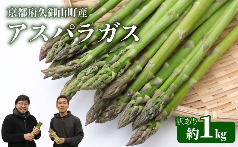 
                  【訳あり】 先行予約 アスパラガス 約 1kg S～2Lサイズ 【6月下旬～9月発送】 数量限定 京都 季節 限定 サラダ 炒め物 アスパラ あすぱら あすぱらがす 京都府 久御山町 久御山 夏野菜 夏芽 人気 野菜 旬 朝採れ 朝採り 新鮮 期間限定 季節限定 旬野菜 季節野菜 夏 限定 採れたて 産地直送 直送 料理 天ぷら 甘い 健康 やわらかい おいしい おすすめ 産地直送 アスパラガス
                