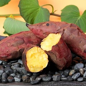 本場鹿児島さつまいも【マロンスイート】6kg　2025年10月中旬より発送A3-59_野菜 さつまいも いも サツマイモ 薩摩芋_【配送不可地域：離島】【1167095】