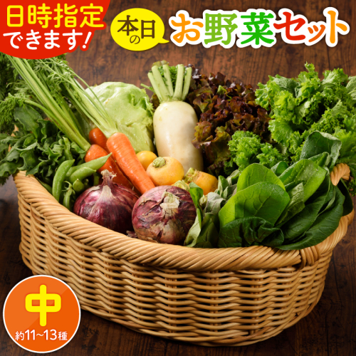 日時指定OK！本日のお野菜セット 〈中サイズ/約11～13種〉 2～3人用_A0053-0051