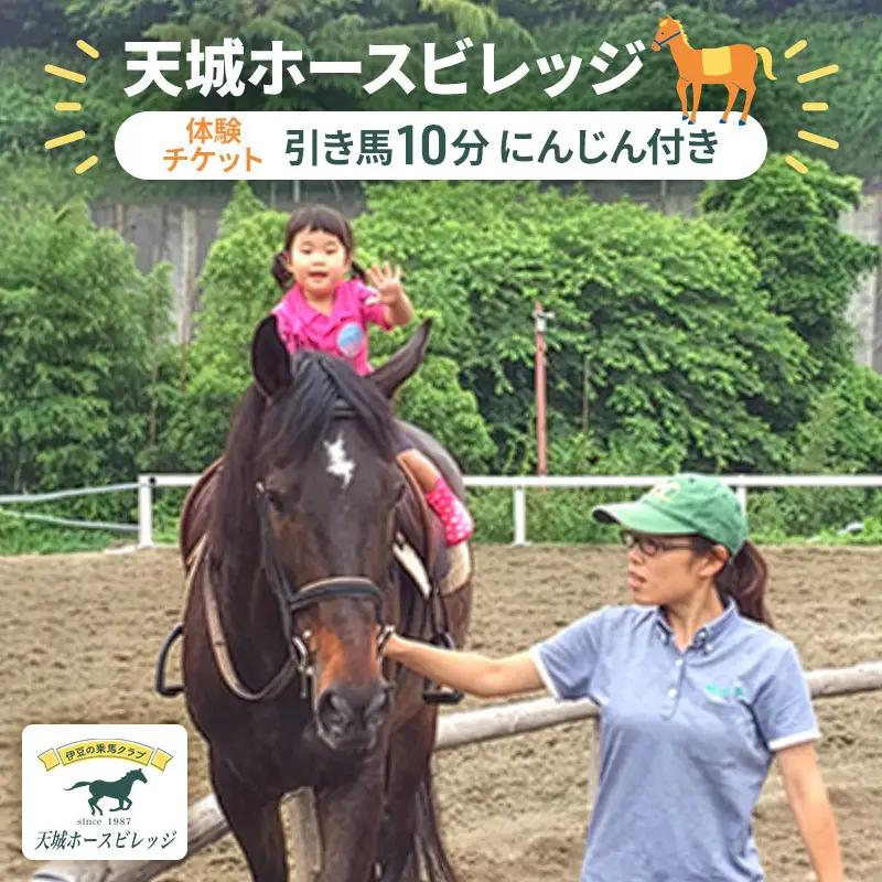 天城ホースビレッジ 施設利用券 天城ホースビレッジ