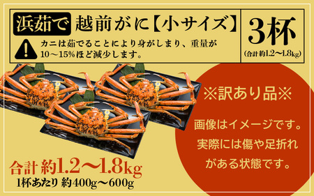 【訳あり】越前がに本場の越前町からお届け！≪浜茹で≫越前がに 小サイズ（生で約400～600g） × 3杯【2月発送分】【雄 ズワイガニ 越前ガニ 姿 ボイル 冷蔵 かに カニ 蟹 福井県】希望日指定