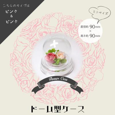 ふるさと納税 美浜町 ブリザーブドフラワー　ドーム型 ピンク×ピンク |  | 01