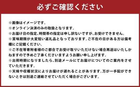 【秀品】清水白桃 2キロ【2027年7月上旬～2027年7月下旬 発送予定】