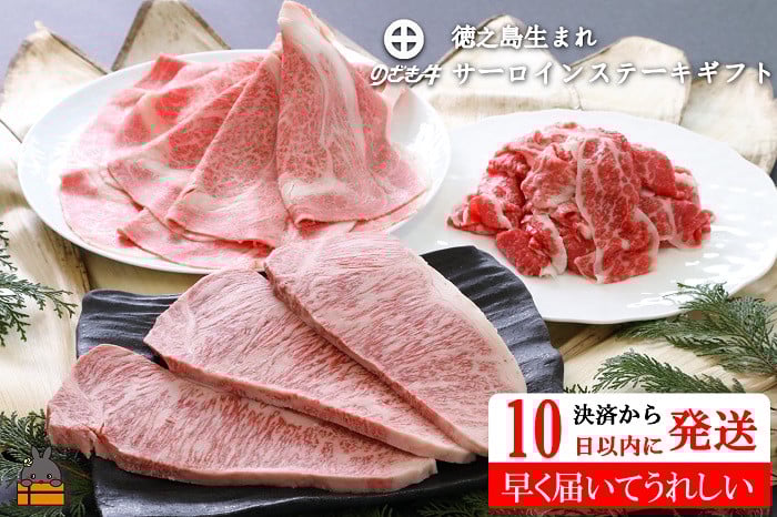 
2284《決済後10日以内に発送！》徳之島が世界に誇る“のざき牛”サーロインステーキギフト ( 早期お届け 10日以内発送 年末 年始 黒毛和牛 ご馳走 最高級 お正月 家族 パーティー 美味しい 絶品 プレミアム すき焼き 鍋 )
