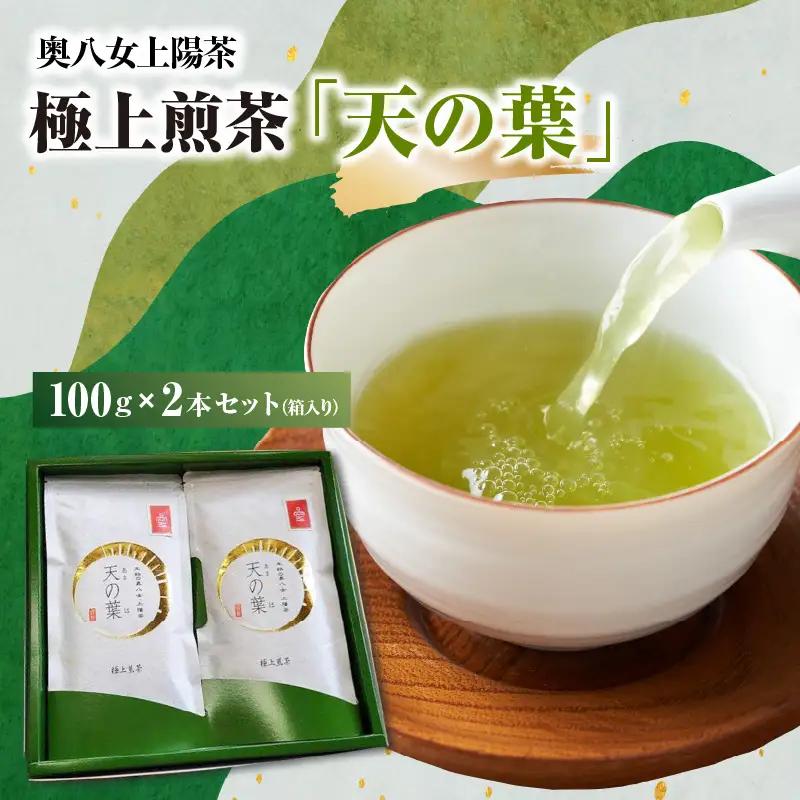 奥八女上陽茶　極上煎茶「天の葉」100ｇ×2本セット箱 茶 お茶 八女茶 緑茶 福岡県 八女市 178-002