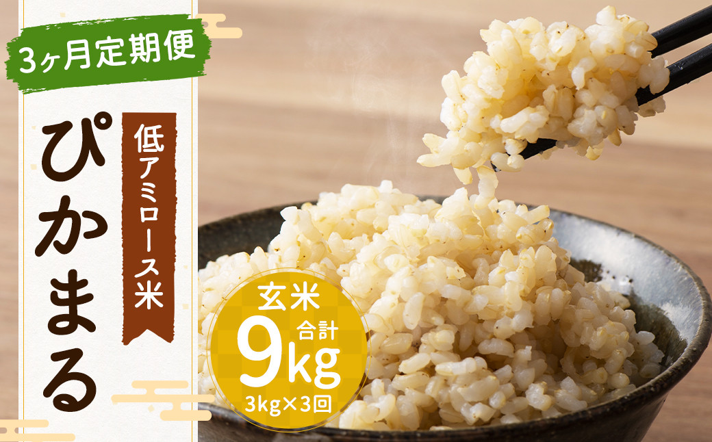 
                  【 新米先行予約 】【 3ヶ月定期便 】低アミロース米 ぴかまる 3kg×3回 合計9kg 玄米 米 お米 玄米 福岡県 筑後市 【2026年11月上旬より順次発送開始予定】
                