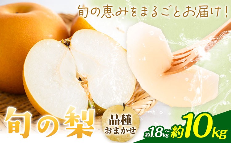 
                  【先行予約】旬の梨 品種おまかせ 選べる内容量 約1.8kg 約3kg 約5kg 約10kg 日本フルーツ株式会社《2026年8月上旬-10月上旬頃出荷》熊本県 菊池市 梨 なし 豊水 秋月 新高 和梨 熊本県産
                