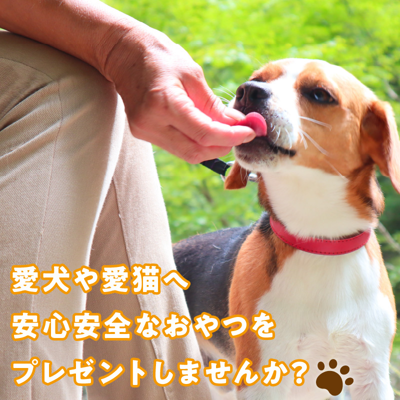 【総量300g】犬猫用 国産無添加おやつジャーキー 豚肺（肉）