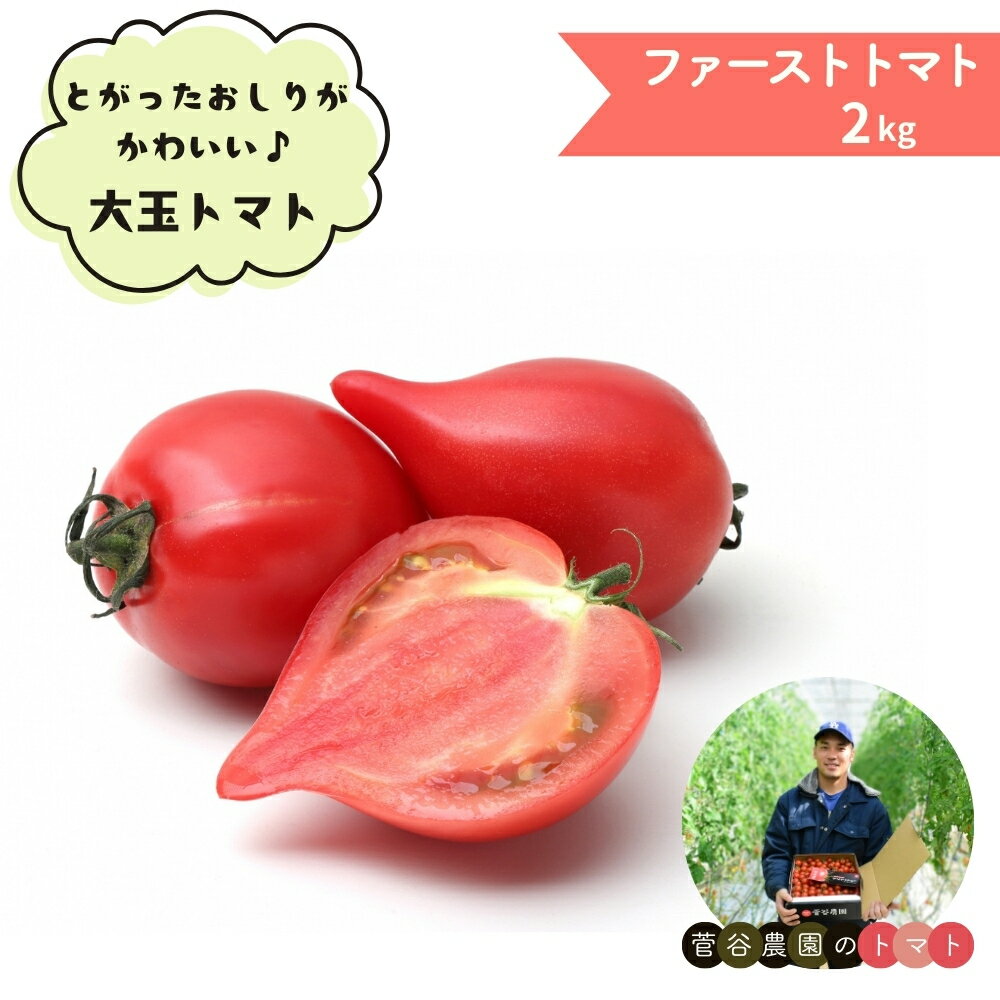 【ふるさと納税】大玉トマト ファーストトマト 2kg