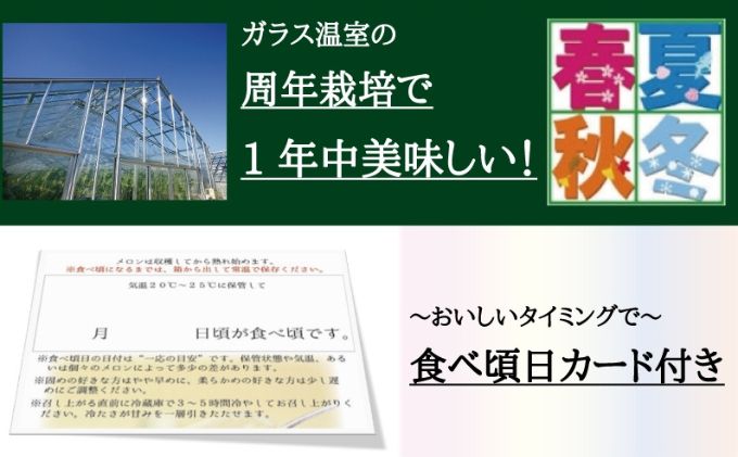 クラウンメロン　規格外特大玉　1玉入【配送不可：離島】