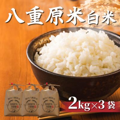 ふるさと納税 東御市 令和8年新米受付!八重原米 白米6kg(2kg×3袋)　※2026年10月以降順次発送|笹屋農園