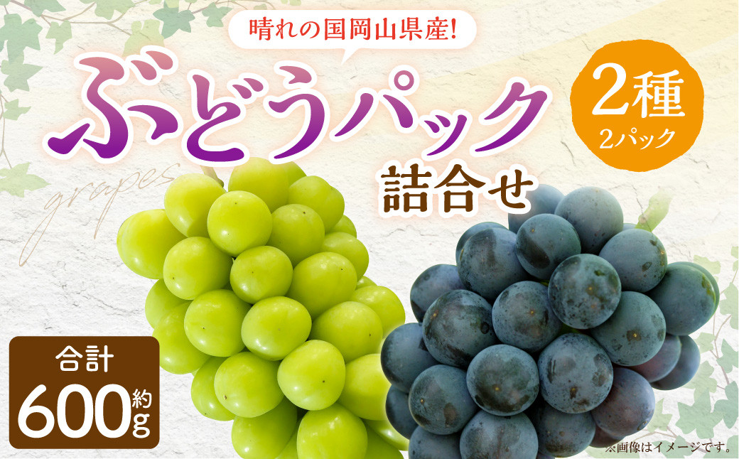 
岡山県産 ぶどう パック詰合せ ※2種2パックセット 【2024年9月上旬～10月下旬発送予定】 岡山 シャインマスカット ニューピオーネ 果物 くだもの フルーツ ぶどう ブドウ 葡萄 セット
