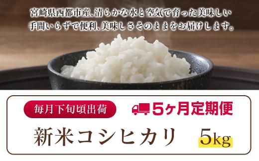 8月発送開始【5ヶ月定期便】 新米コシヒカリ無洗米 5kg×5 合計25kg 令和8年産 8月～12月発送 宮崎県西都市産＜18-24ｂ＞こしひかり 精米 白米 お米