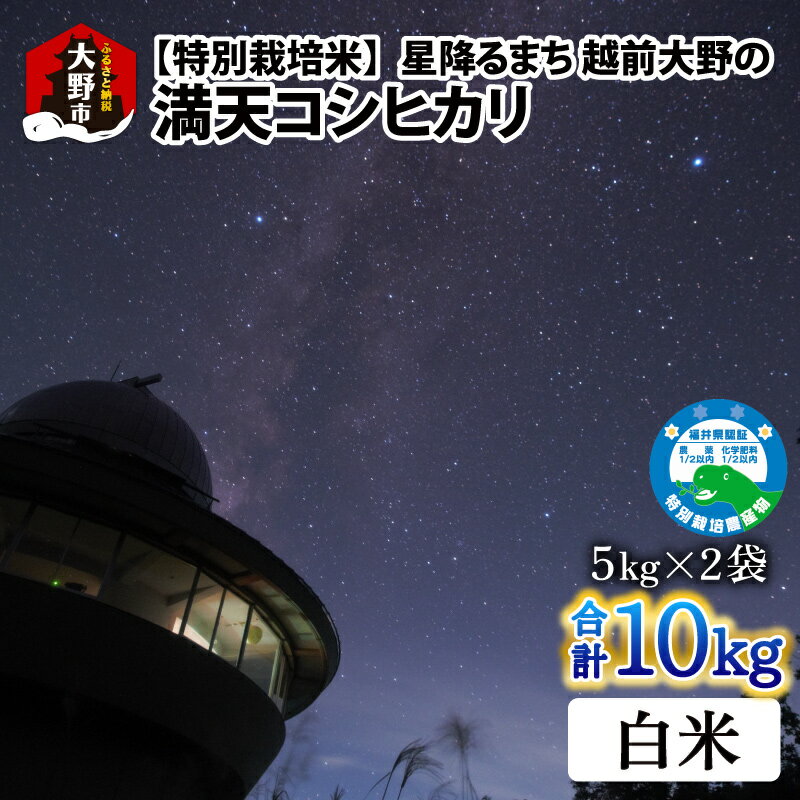 【ふるさと納税】【先行予約】【令和7年産 新米】星降るまち 越前大野の「満天コシヒカリ」白米 10kg (5kg×2袋) 小分け 農薬・化学肥料50%以上カットの特別栽培米 農家直送 単一原料米 大野市[A-005004] |精米 玄米 白米 ご飯 ごはん 産地直送 食品 美味しい 米処 送料無料