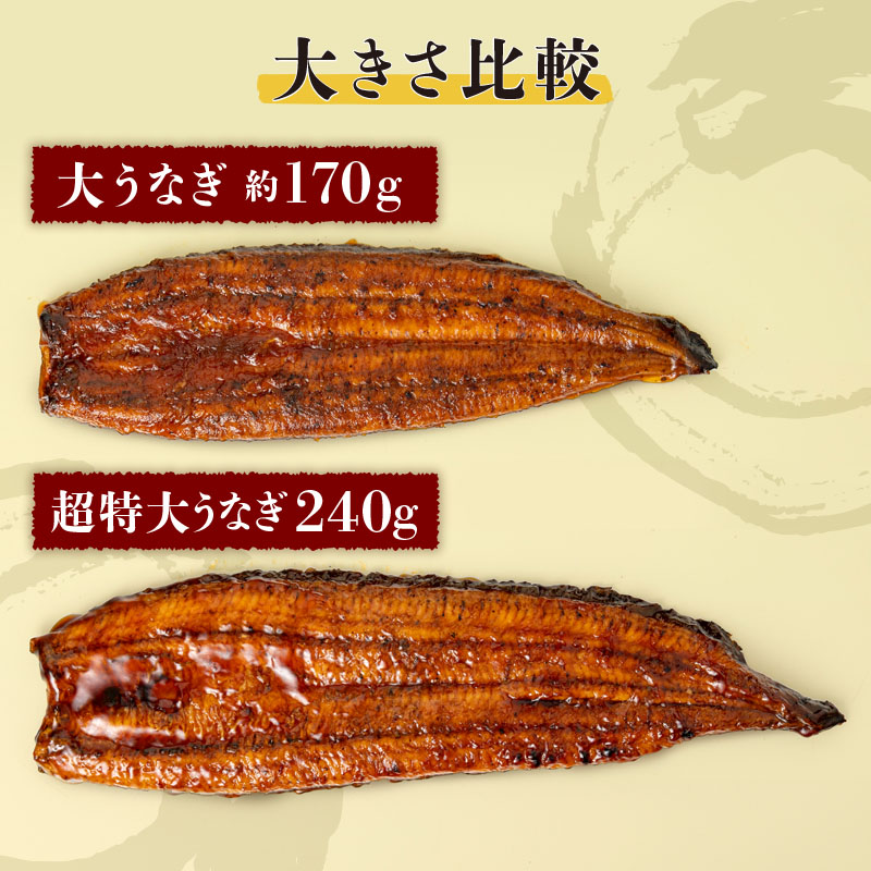 鹿児島産超特大うなぎ蒲焼(無頭) (計960g以上・240g以上×4尾) 鰻 蒲焼き 真空パック【株式会社財宝】B214