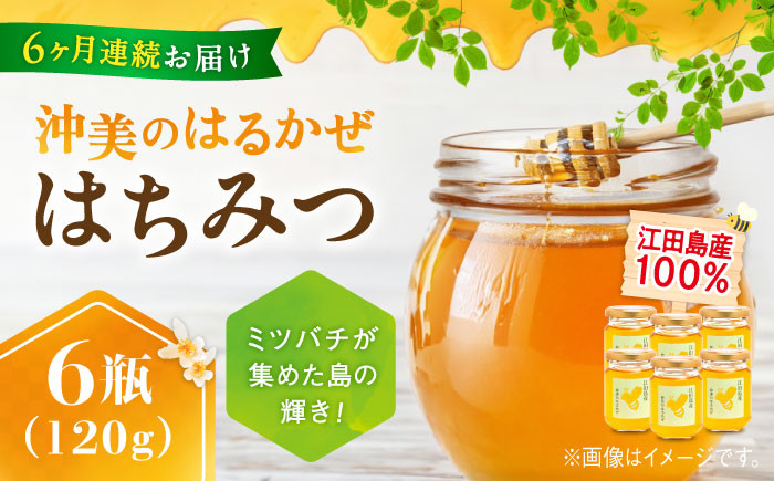 
            【全6回定期便】江田島産100％ はちみつ 『沖美のはるかぜ』120g×6本セット ハチミツ 蜂蜜 国産 広島 江田島市/はつはな果蜂園 [XCD016] ハチミツ 国産蜂蜜 国産はちみつ 国産純粋はちみつ 蜜 蜂蜜 はちみつ ハニー honey 人気ハチミツ 日本蜜蜂 純粋はちみつ 常温 保存 備蓄 防災食 非常食 保存食 産地直送 国産 定期便
          