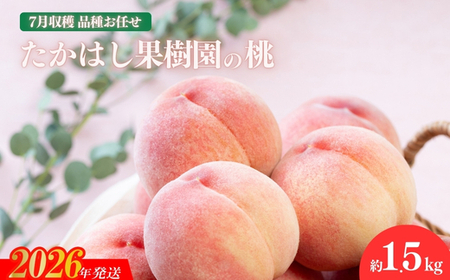 No.1904たかはし果樹園の桃　7月収穫約1.5kg【2026年発送 先行予約】