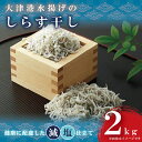 【ふるさと納税】大津港水揚げのしらす干し2kg（1kg×2個）シラス（AS101）