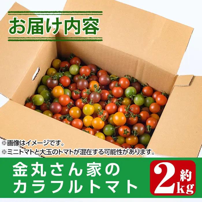 ＜先行予約受付中！2026年11月から順次発送予定＞カラフルトマト食べ比べセット(約2kg・9品種の中から4品種以上)国産 野菜 【KT-2】【K.TFarm】