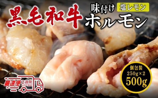 国産黒毛和牛 タレ漬けホルモンミックス塩レモン 250g x 2袋　焼肉用 ホルモン 肉 小分け 冷凍 ギフト 大容量