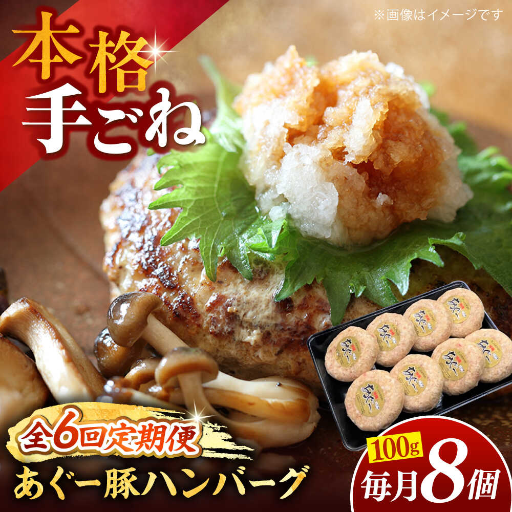 【ふるさと納税】【全6回定期便】沖縄県産あぐー豚ハンバーグセット 800g (100g×8個) 豚 ハンバーグ 冷凍 ギフト お取り寄せ 父の日 沖縄市 / お肉屋本店[BCAZ010]