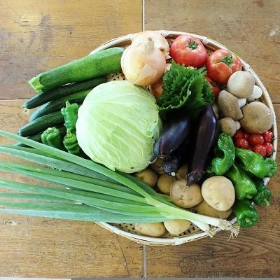 ふるさと納税 京丹波町 京丹波町和知地区で栽培された旬の地場野菜おまかせ詰め合わせ |  | 01