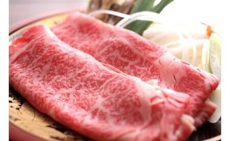 飛騨市推奨特産品　飛騨牛霜降り＆赤身すき焼きハーフ＆ハーフ1kg[K0021]