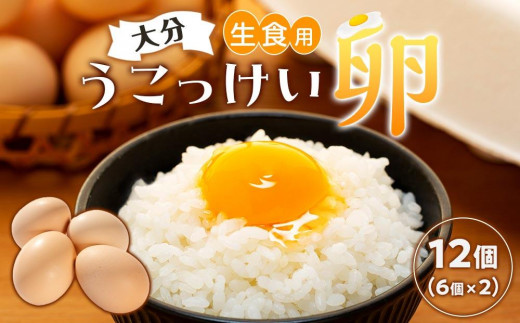 
大分うこっけい卵　生食用12個（6個×2パック）＜お試しサイズ／使い切りにぴったり！＞
